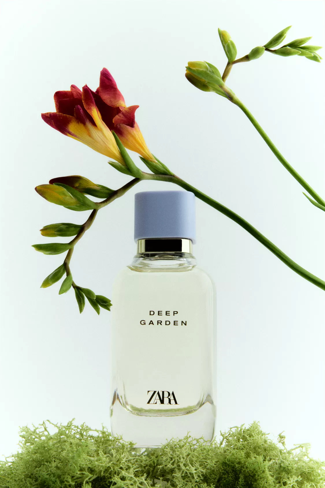 ZARA - deep garden