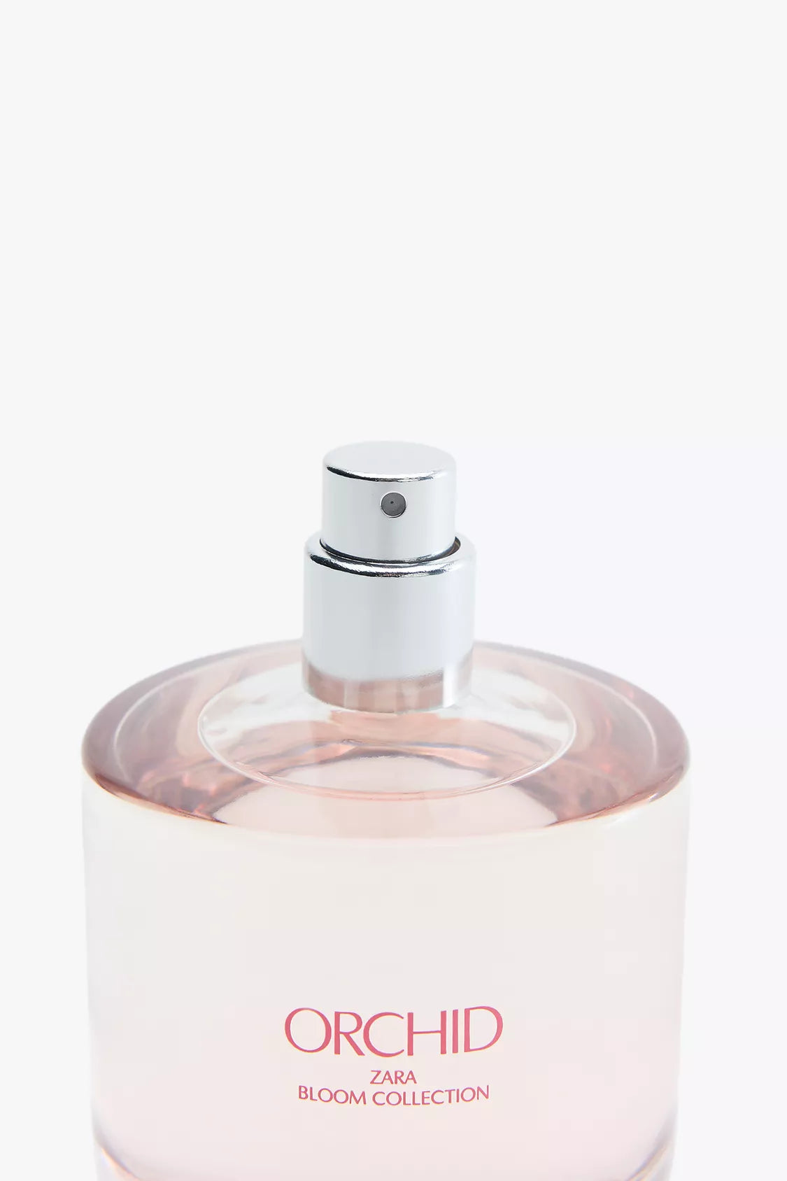 ZARA - orchid