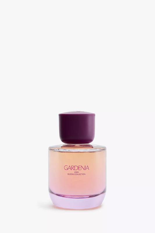 ZARA - gardenia