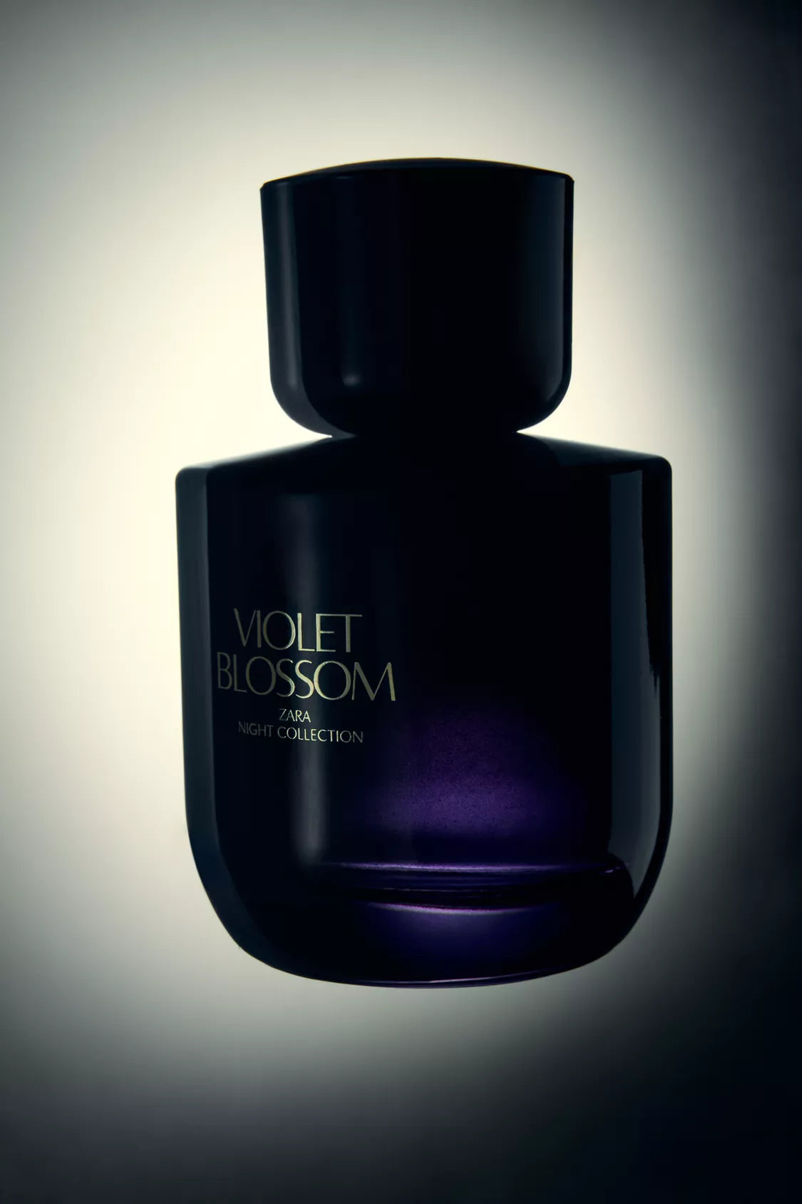 ZARA - violet blossom