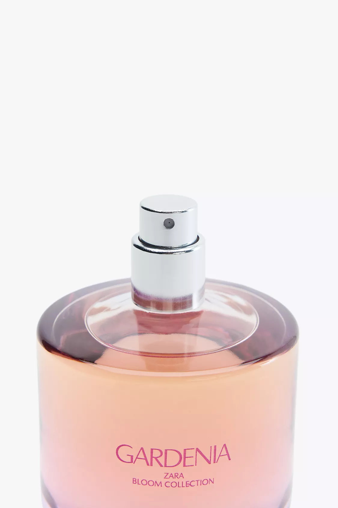 ZARA - gardenia